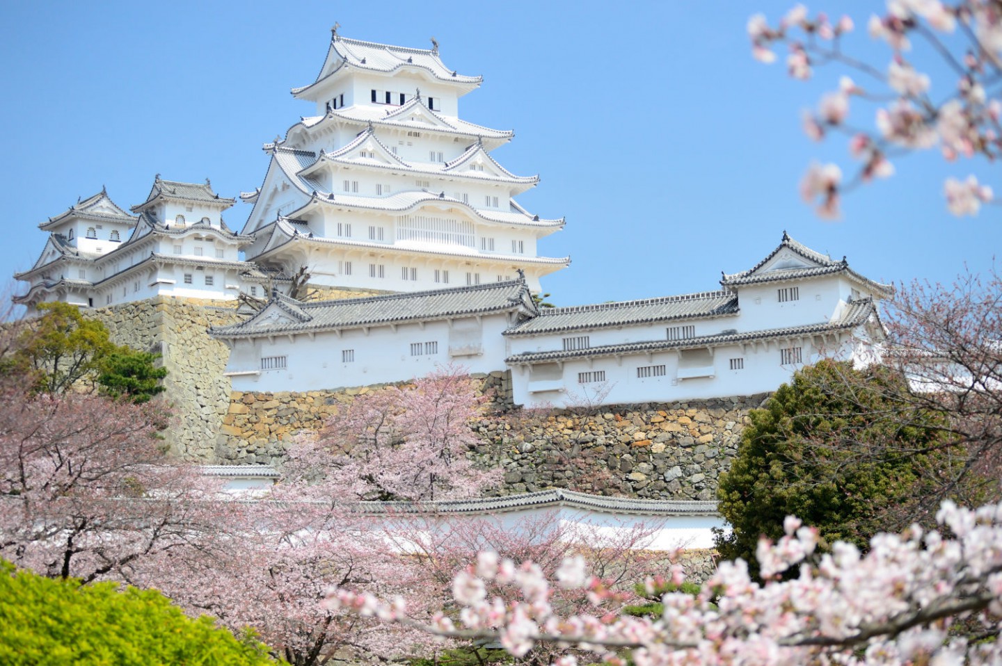 兵庫県の優良企業ランキング