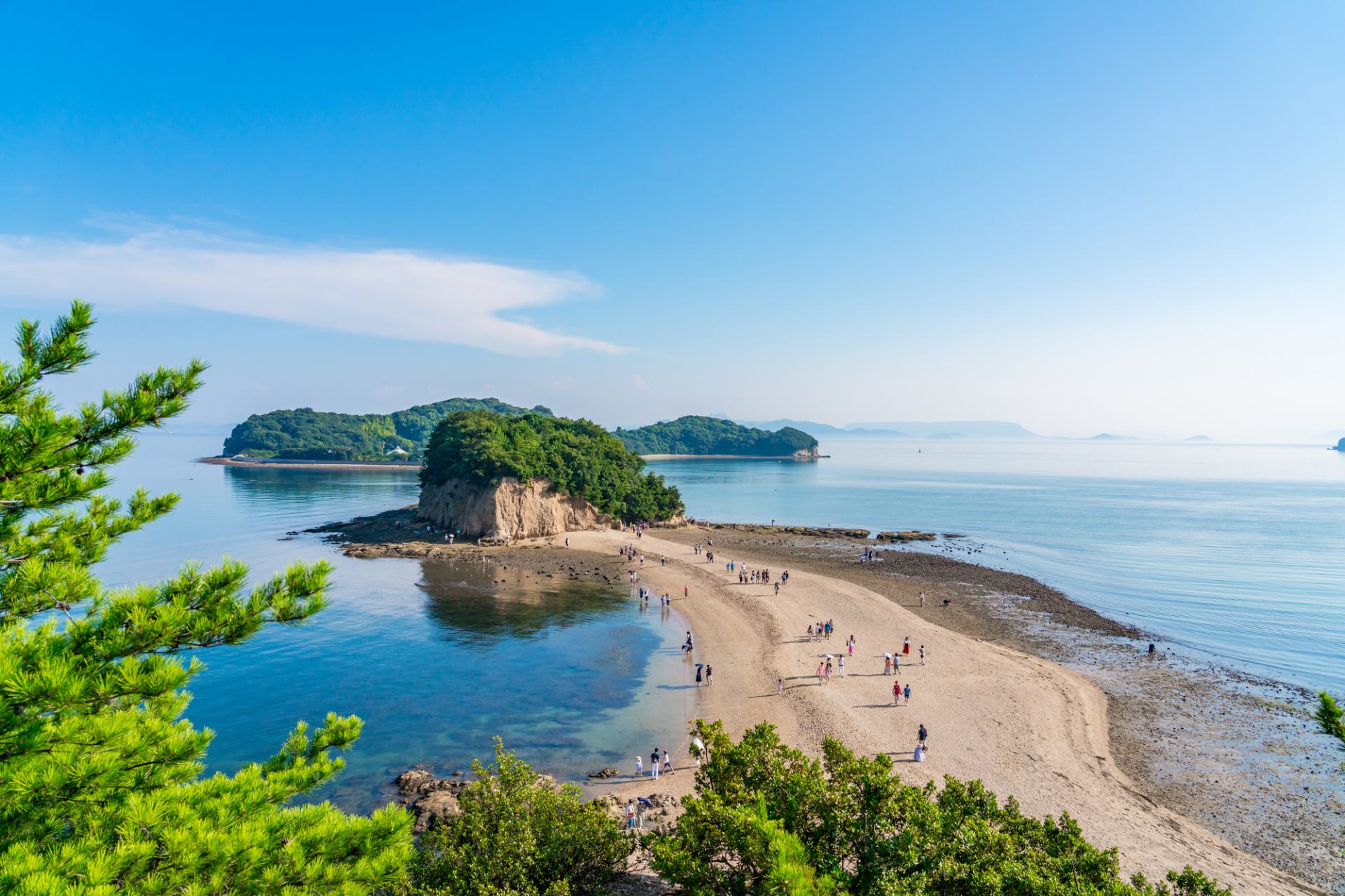 香川県の優良企業ランキング